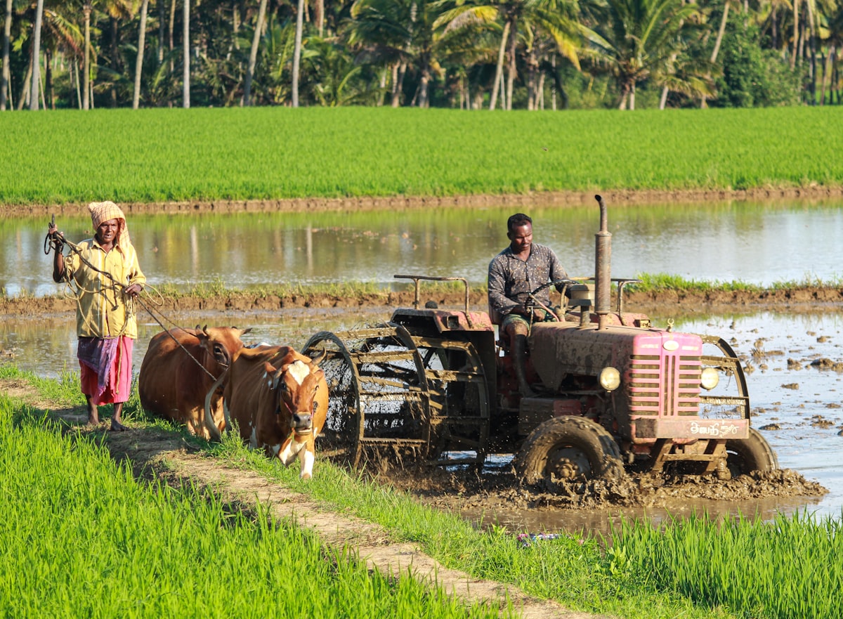 Solar water pump for farms